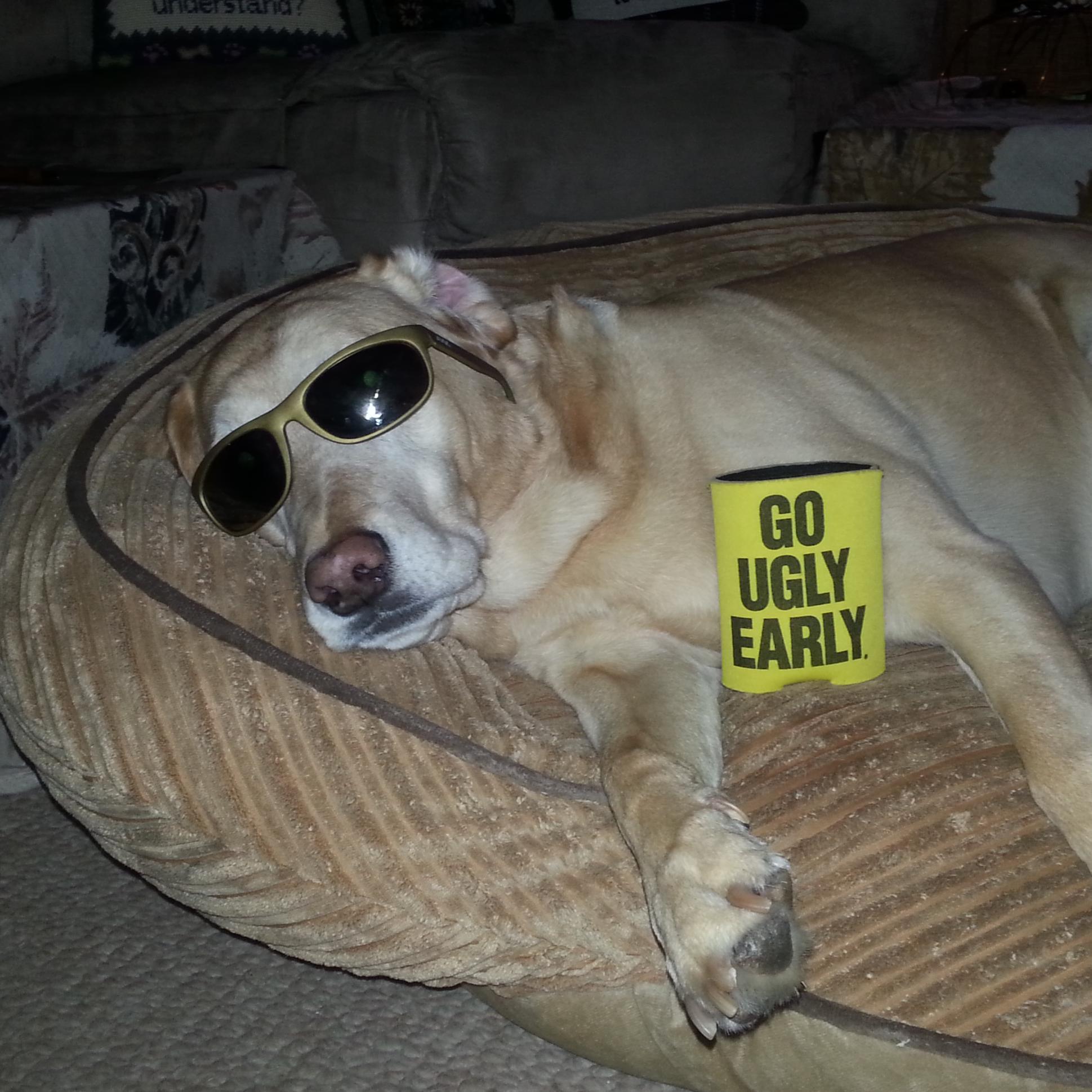 terrylang439's profile picture. 