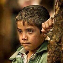 rTK9u0I5KR7GrGn's profile picture. 