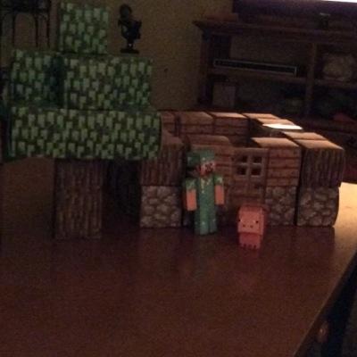 Minecraft,Unturned,Cod Black Ops 2, And much much more