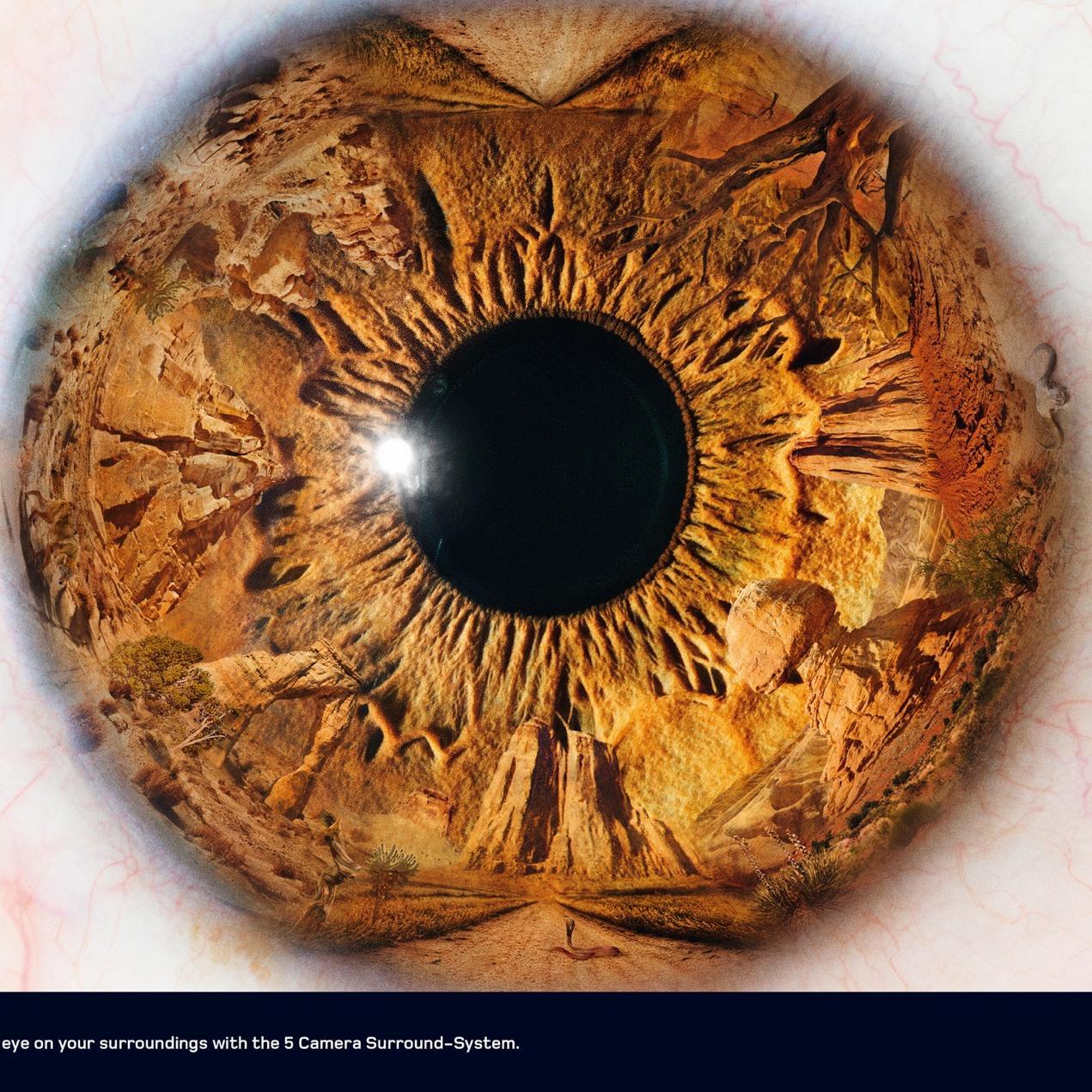 Twisted_Eyes's profile picture. 