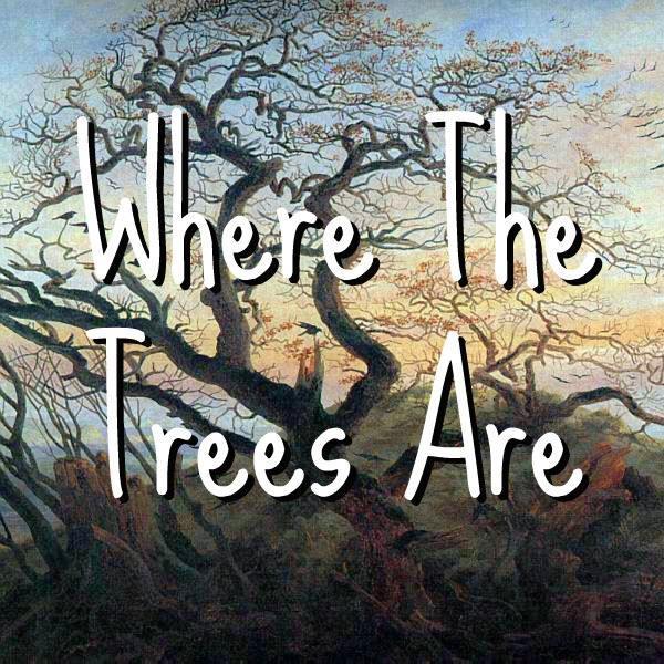 Improv Comedy from deep within the woods