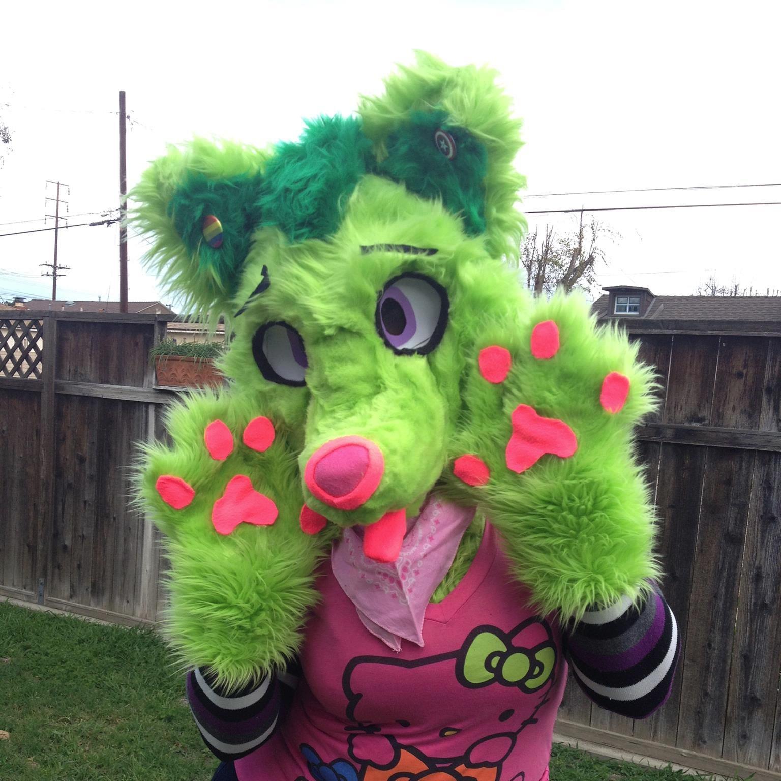 Fursuiter/furry/brony-24/Female/mated to my sweet @bronypony567 /RPssp@blazing_wubs/waifu dashie//b-day oct4/DisneyFan