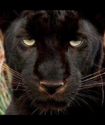 williefountain1's profile picture. today announced its tomorrow follow