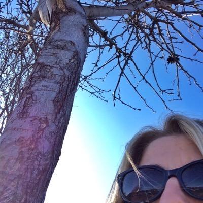 mcartwrightMVMS's profile picture. 