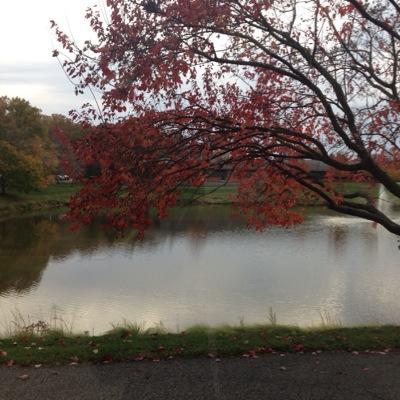 Gurbette1garib's profile picture. 