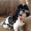 Wendy Stein - @wendykate58 - Twitter