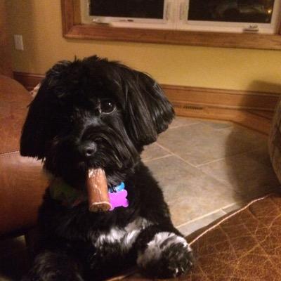 MacDaddyMN's profile picture. 