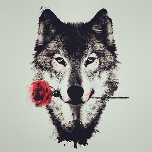 she wasn't trying to kill herself. she just didn't care whether she lived or not.