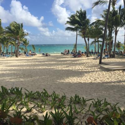 KDwyerJ's profile picture. 