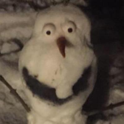 YUNG_OLAF's profile picture. olaf the savage
