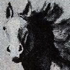 _brainstems's profile picture. 