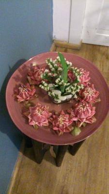 Farhanalj's profile picture. Selectively social