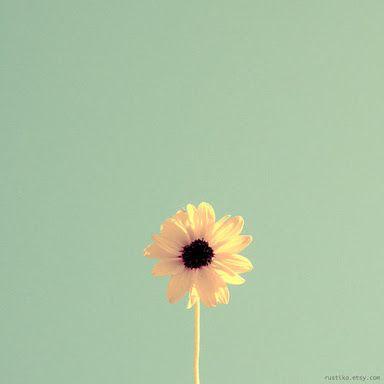 pea_421's profile picture. 高３＊筑波大学人間学群障害学類志望