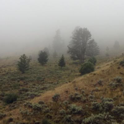 jasonhambach's profile picture. 