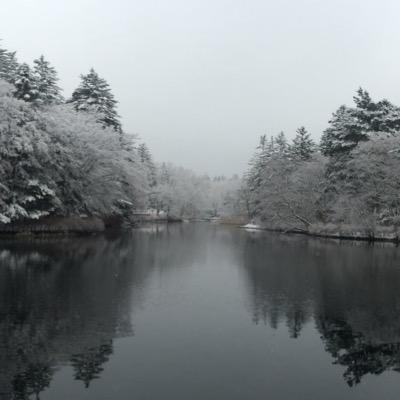 RCxTRoC's profile picture. 