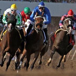 Your source for horse racing in the Heartland!