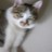 zicaoyuan's profile image