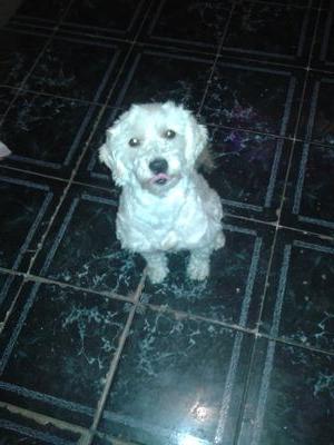 KATHA_VB's profile picture. 💚💚💚💚🖤🤍