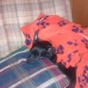 Heather Norris - @RickNorris4 - Twitter