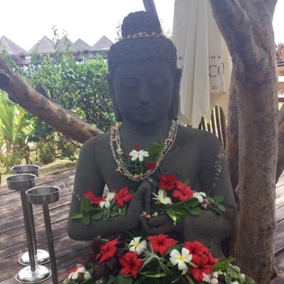 lisafettback63's profile picture. 