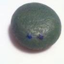 Just a little pet rock in a big world
