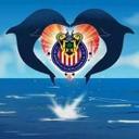 Manuel nucita (@059f497ece0a4ba) Twitter