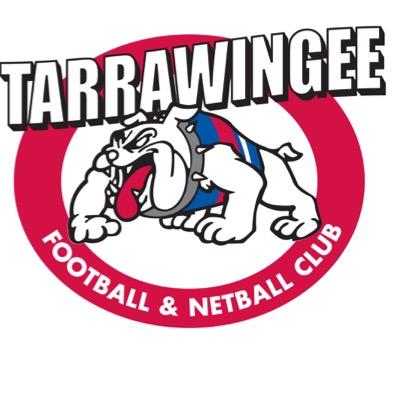 tarrafnc's profile picture. 