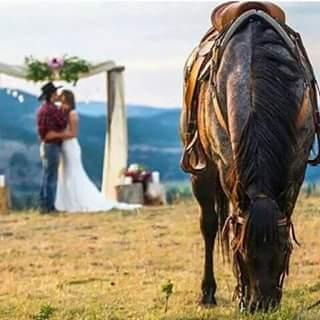 Se o mundo fosse perfeito,todo som era sertanejo,todo barulho era viola e toda poeira era rodeio!