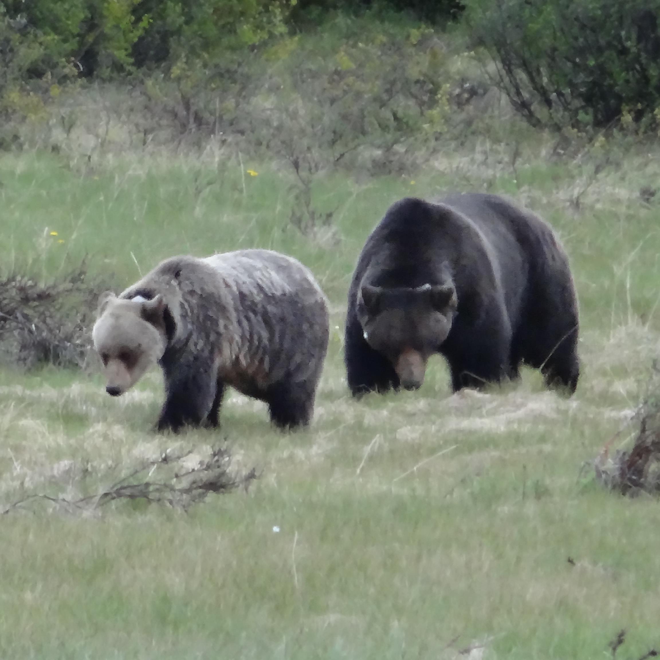 fl_tall's profile picture. 