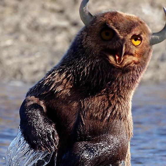 Bobsflipflop's profile picture. 