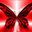 Danielle Barton - @GoRedButterfly - Twitter