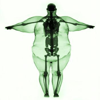 Working towards a healthier body