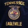 EaglevilleFFA's profile picture. FFA makes a positive difference in the lives of students by developing their potential for premier leadership, personal growth, and career success.
