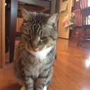 Heather Bacon - @HeatherBacon4 - Twitter