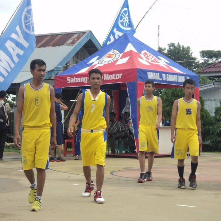 aditya revelson Profile