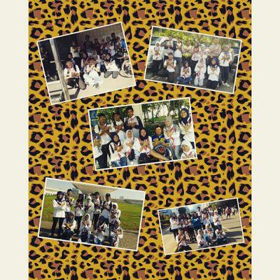 scout |pramuka 97|silat mustika| someone
