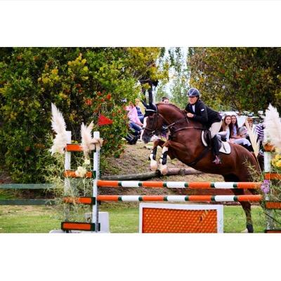 pilisolero's profile picture. Horse Rider / Gestora de Esteticas para la Moda