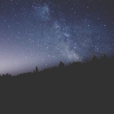 EchosmithT's profile picture. just echosmiths timeline