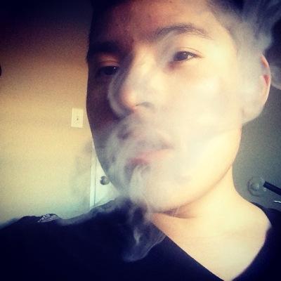 josekushcx's profile picture. 