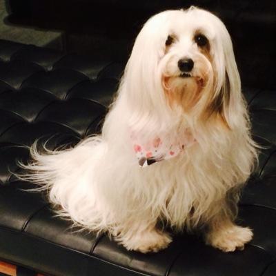 buckyK's profile picture. I like data and friendship