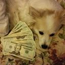 Cecilia Robinson - @divarobinson75 - Twitter