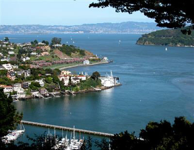Call me for insight on and access to the latest Marin Short Sale homes, foreclosure properties and REOs. -------------------- Info@MarinShortSale.com