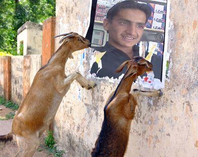 khan