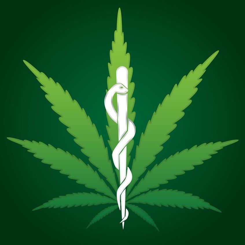 LegalWeedMedia's profile picture. You grow it, we show it. Making media for Marijuana businesses in the hopes of increasing responsible and safe enjoyment. For use only by adults 21 and over.