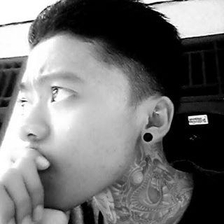 Posthardcore , Heavy Metal ,Pop Punk ,Alternative Rock.
