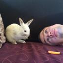 Andy Irvine - @andyirvinee - Twitter