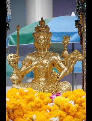 SWAToasis's profile picture. 