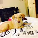 Michael Fell - @ILoveMySon1997 - Twitter