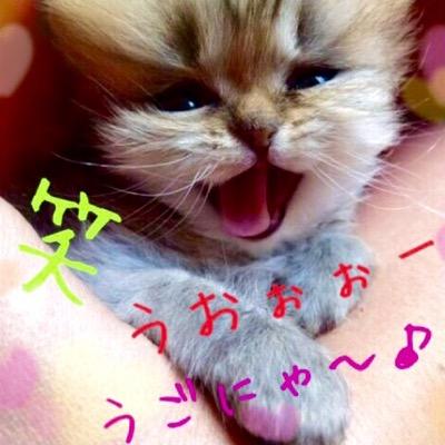 all…LOVE‼︎(^з^)-☆❤️【拡散垢】
