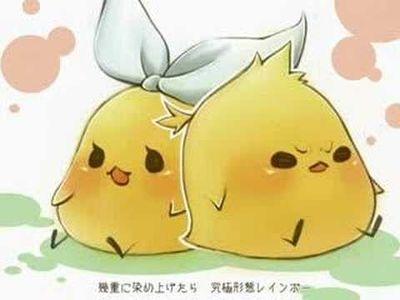 ちぃひよ。さんのプロフィール画像